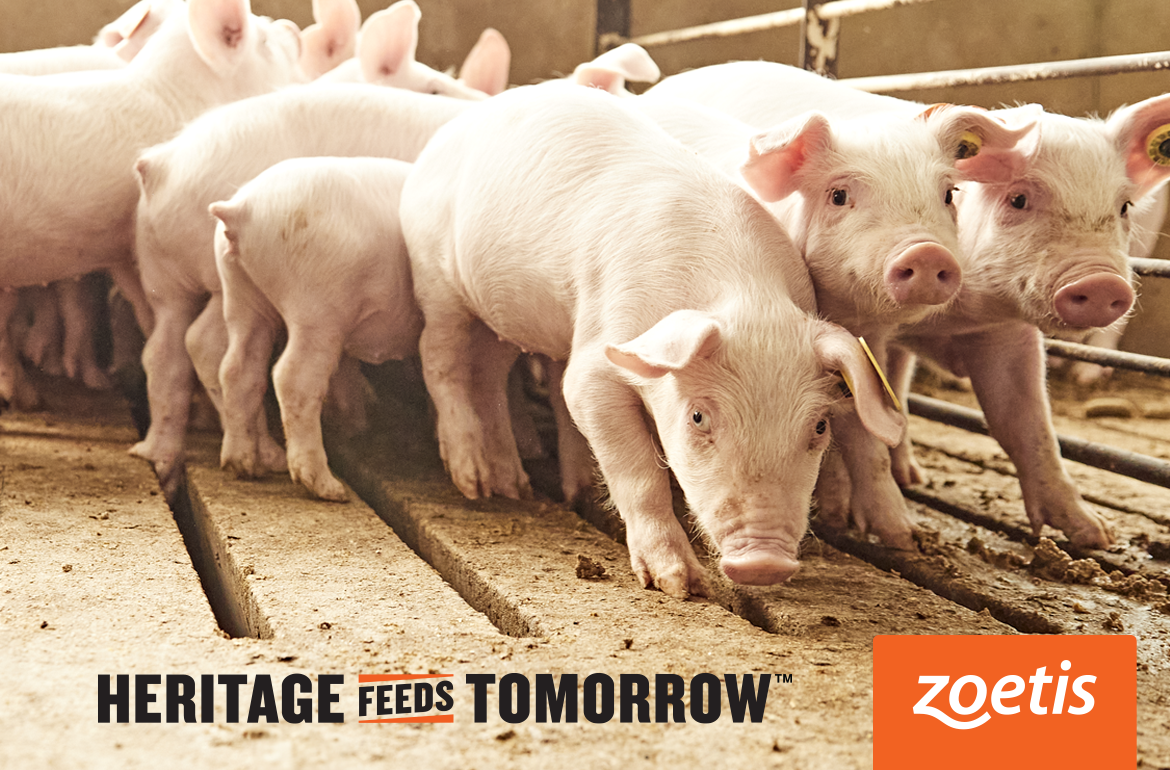 Zoetis • Heritage Feeds Tomorrow